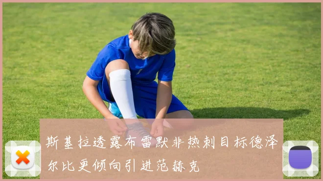 斯基拉透露布雷默非热刺目标德泽尔比更倾向引进范赫克